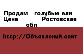 Продам 3 голубые ели › Цена ­ 3 000 - Ростовская обл.  »    